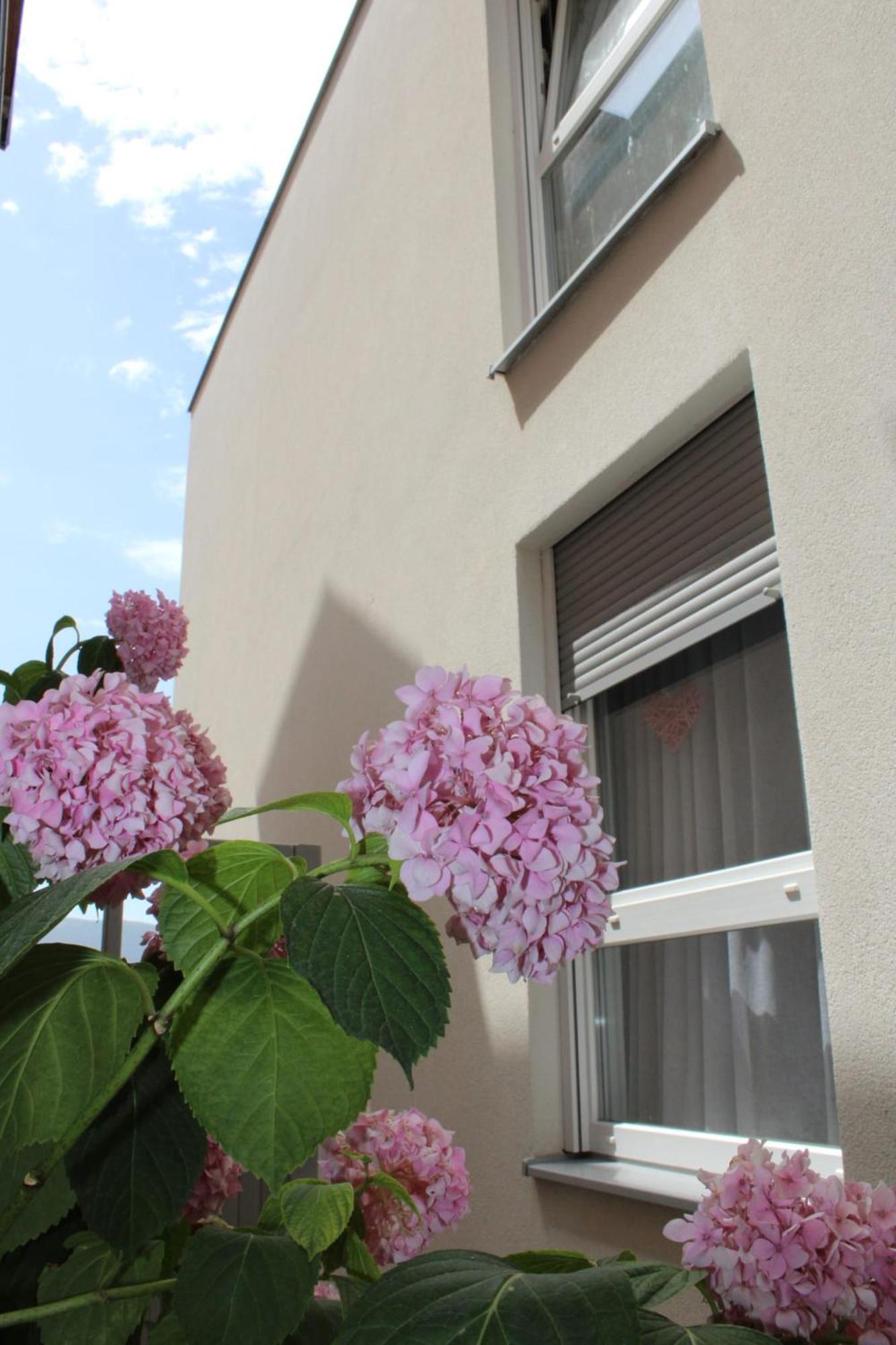 Apartment Merry - Free Garage & Parking Mostar Eksteriør billede